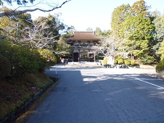 P1000191-2.jpg
