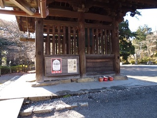 P1000192-2.jpg