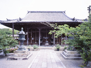 img_anoji.jpg