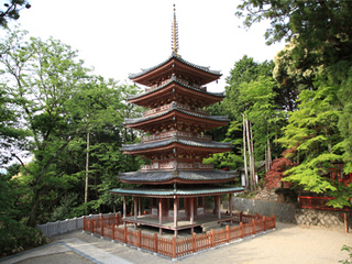 img_kaijusenji.jpg